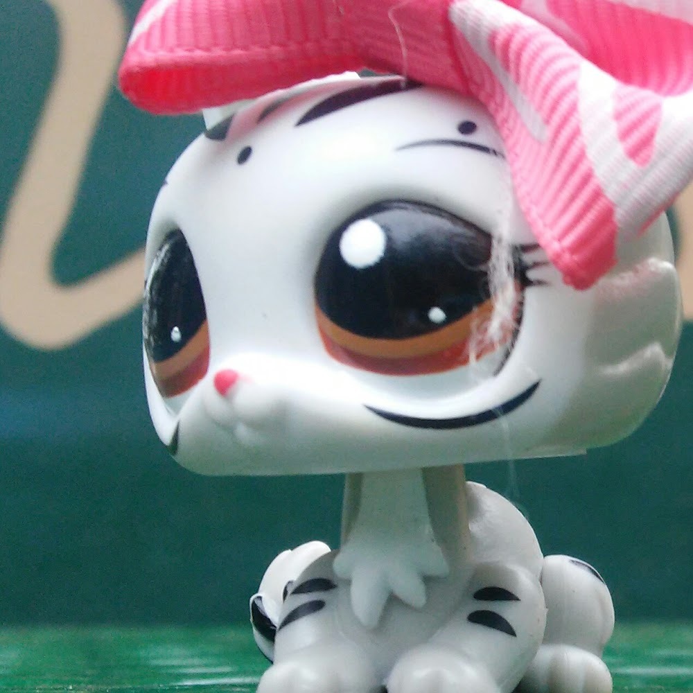 Meet your Posher, Jingle's